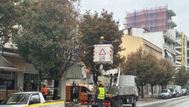 Κλάδεμα-δέντρων-στην-οδό-Τσιτσάνη-εν-μέσω-βροχής