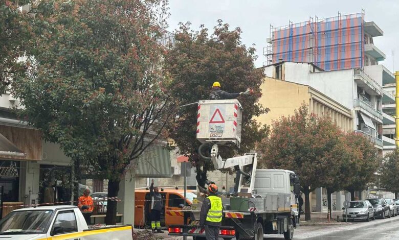 Κλάδεμα-δέντρων-στην-οδό-Τσιτσάνη-εν-μέσω-βροχής