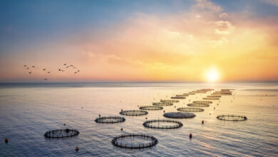 Η-cooke-αποκτά-το-χρέος-και-τον-έλεγχο-της-avramar-Ελλάδας