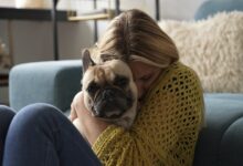 Κατοικίδια-που-αλλάζουν-ζωές:-Όταν-η-συντροφιά-έχει-τέσσερα-πόδια-και-ουρά