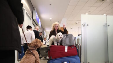 «Συγκινητικές-σκηνές»-στην-Αθήνα-–-Μεγάλο-ενδιαφέρον-διεθνών-ΜΜΕ-για-την-ελληνική-επιχείρηση-επαναπατρισμού-κατοικιδίων-από-τη-Μέση-Ανατολή