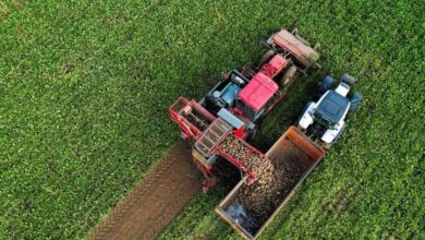 «Φωτιά»-οι-τιμές-στα-λιπάσματα-λόγω-του-πολέμου-στη-Μέση-Ανατολή,-«πνίγουν»-τους-αγρότες-σε-περίοδο-σποράς