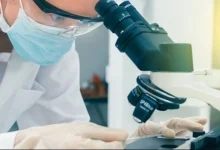 Έφτιαξαν-στο-εργαστήριο-τον-πρώτο-οισοφάγο-χοίρου