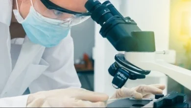 Έφτιαξαν-στο-εργαστήριο-τον-πρώτο-οισοφάγο-χοίρου