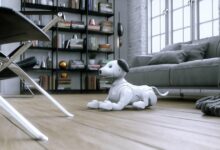 Κατοικίδια-ρομπότ:-Πώς-μετασχηματίζουν-την-ανθρώπινη-συντροφικότητα-και-το-lifestyle