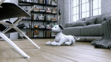 Κατοικίδια-ρομπότ:-Πώς-μετασχηματίζουν-την-ανθρώπινη-συντροφικότητα-και-το-lifestyle