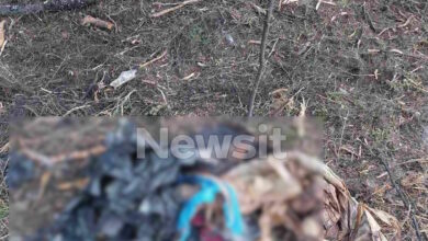 Χαλκιδική:-«Η-γυναίκα-της-κόκκινης-βαλίτσας-μπορεί-να-είναι-η-κόρη-μου»-λέει-πατέρας-αγνοούμενης