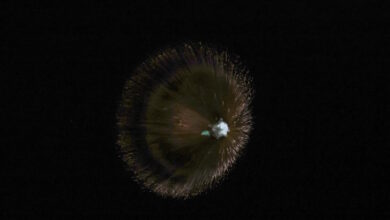 Ισραήλ:-Απίστευτα-πλάνα-από-την-εξωατμοσφαιρική-αναχαίτιση-βαλλιστικού-πυραύλου-του-Ιράν