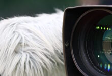 Οι-αθλητικές-μεταδόσεις-της-ημέρας