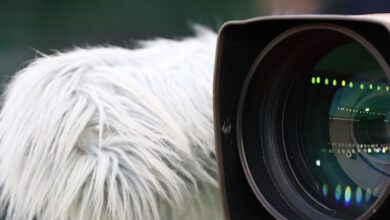 Οι-αθλητικές-μεταδόσεις-της-ημέρας