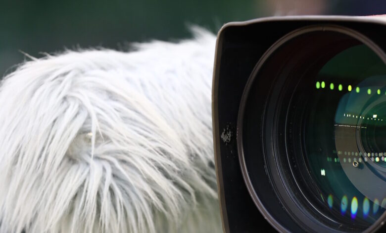 Οι-αθλητικές-μεταδόσεις-της-ημέρας