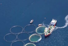 ΥπΑΑΤ:-30-Απριλίου-ολοκληρώνονται-έργα-6-δράσεων-του-Ταμείου-Ανάκαμψης-για-πρωτογενή-τομέα,-μεταποίηση,-ιχθυοκαλλιέργειες