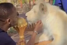 Σενεγάλη:-Από-τη-στρατιωτική-βάση-στα-λιοντάρια-το-τρόπαιο-του-copa-africa