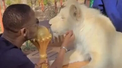 Σενεγάλη:-Από-τη-στρατιωτική-βάση-στα-λιοντάρια-το-τρόπαιο-του-copa-africa