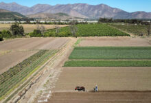 ΑΑΔΕ:-Έως-30-Απριλίου-η-δήλωση-μεταβολών-για-υποχρεωτική-μετάταξη-των-αγροτών-στο-κανονικό-καθεστώς-ΦΠΑ