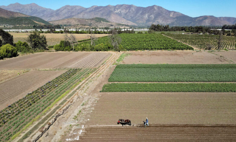 ΑΑΔΕ:-Έως-30-Απριλίου-η-δήλωση-μεταβολών-για-υποχρεωτική-μετάταξη-των-αγροτών-στο-κανονικό-καθεστώς-ΦΠΑ