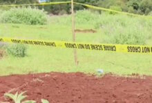 Κένυα:-25-νήπια-και-7-ενήλικες-βρέθηκαν-σε-ομαδικό-τάφο,-τα-πτώματα-ήταν-ακρωτηριασμένα