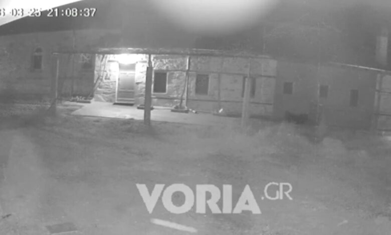 Σεισμός-στο-Άγιο-Όρος:-Η-στιγμή-που-τα-4,9-ρίχτερ-«χτυπούν»-τις-Καρυές-–-Εικόνες-με-τις-ρωγμές