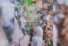 Πεύκη:-Παιδιά-που-έπαιζαν-σε-οικοδομή-βρήκαν-οβίδα-του-Β’-Παγκοσμίου-Πολέμου