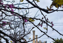 Καιρός-σήμερα:-Άνοδος-της-θερμοκρασίας-και-συννεφιά-σε-Αττική-και-Θεσσαλονίκη-–-Βροχές-στα-δυτικά