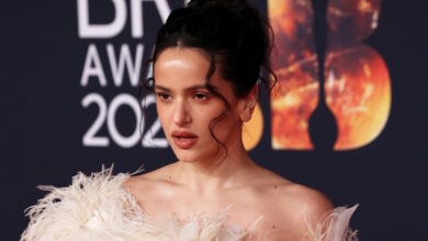 rosalia:-Η-φωτογραφία-στο-φορείο-μετά-τη-διακοπή-της-συναυλίας-της:-«Νιώθω-καλύτερα,-σας-ευχαριστώ-για-την-αγάπη»