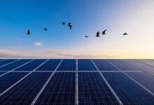 Γιατί-απέτυχε-ο-διαγωνισμός-για-τις-ΑΠΕ-του-προγράμματος-Απόλλων,-που-έχουν-στόχο-φθηνότερο-ηλεκτρικό-ρεύμα-για-ευάλωτους-καταναλωτές