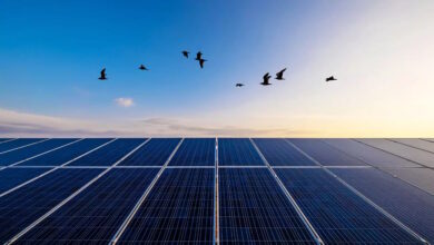 Γιατί-απέτυχε-ο-διαγωνισμός-για-τις-ΑΠΕ-του-προγράμματος-Απόλλων,-που-έχουν-στόχο-φθηνότερο-ηλεκτρικό-ρεύμα-για-ευάλωτους-καταναλωτές