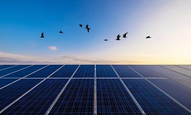 Γιατί-απέτυχε-ο-διαγωνισμός-για-τις-ΑΠΕ-του-προγράμματος-Απόλλων,-που-έχουν-στόχο-φθηνότερο-ηλεκτρικό-ρεύμα-για-ευάλωτους-καταναλωτές