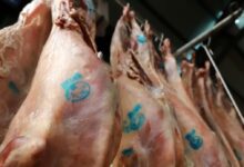 Προβληματισμός-για-την-επάρκεια-και-τις-τιμές-των-αμνοεριφίων-ενόψει-Πάσχα