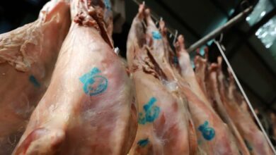 Προβληματισμός-για-την-επάρκεια-και-τις-τιμές-των-αμνοεριφίων-ενόψει-Πάσχα