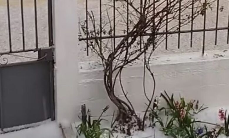 Ισχυρό-χαλάζι-έπληξε-την-Κορινθία:-Σε-Νεμέα-και-Δερβενάκια-τα-μεγαλύτερα-προβλήματα-–-Δείτε-βίντεο