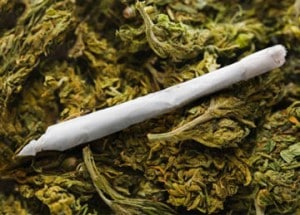 Το-συνέλαβαν-στα-Τρίκαλα-με-7-τσιγάρα-χασίς-στην-τσέπη