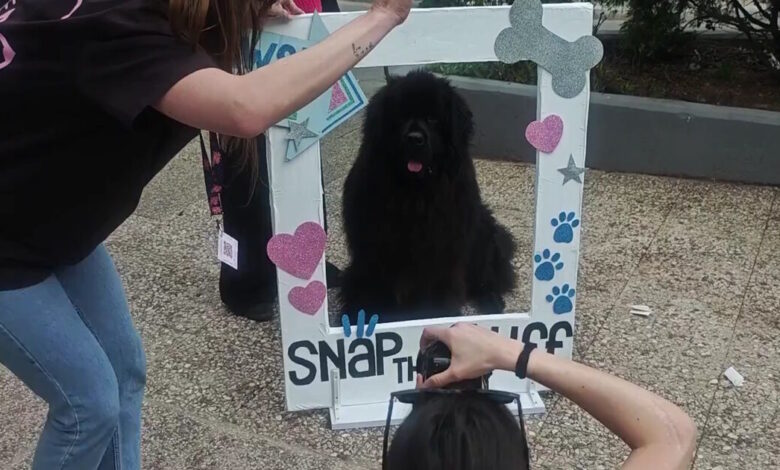 Παγκράτι:-Ουρές-από-σκύλους-για-να-βγάλουν-το-καλύτερο-κλικ-σε-δωρεάν-φωτογράφιση-στην-πλατεία-Βαρνάβα