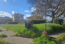 Σωτήρα-Τρικάλων:-Πλατεία-«πνιγμένη»-στα-χόρτα