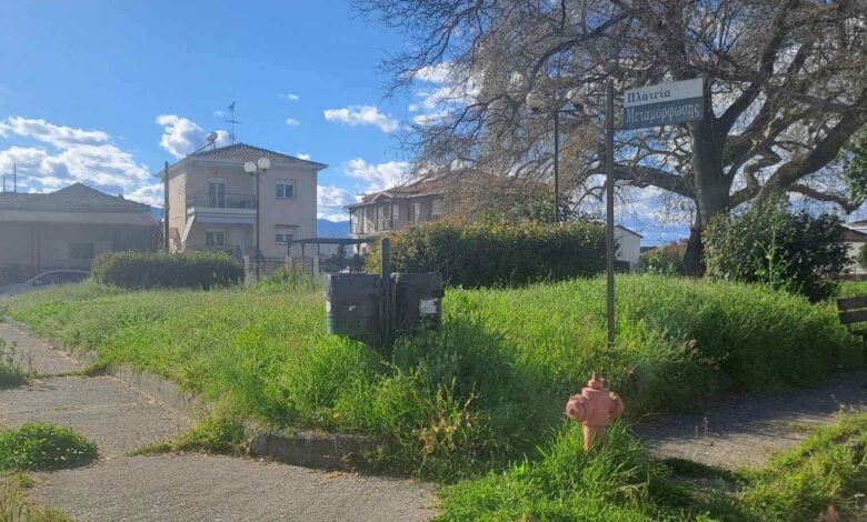 Σωτήρα-Τρικάλων:-Πλατεία-«πνιγμένη»-στα-χόρτα