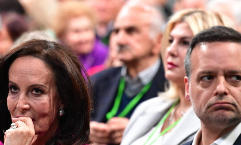 Συνέδριο-ΠΑΣΟΚ:-Το-«καρφί»-Ανδρουλάκη-στον-Δούκα-για-την-υποψηφιότητα-Διαμαντοπούλου-στον-Νότιο-Τομέα