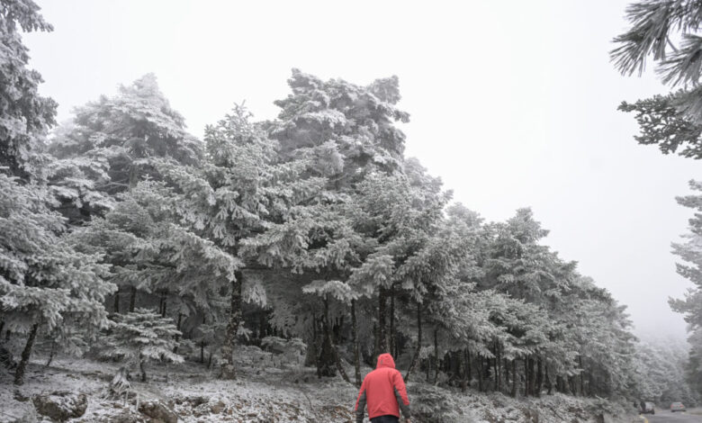 Καιρός:-Σφοδρές-καταιγίδες-και-πυκνό-χιόνι-στα-ορεινά-φέρνει-η-κακοκαιρία-«erminio»-–-Έκτακτο-δελτίο-επικίνδυνων-καιρικών-φαινομένων