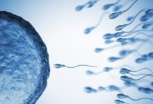 Η-επιστήμη-απαντά-εάν-γίνεται-να-αναπαραχθούμε-σε-άλλους-πλανήτες