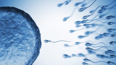 Η-επιστήμη-απαντά-εάν-γίνεται-να-αναπαραχθούμε-σε-άλλους-πλανήτες