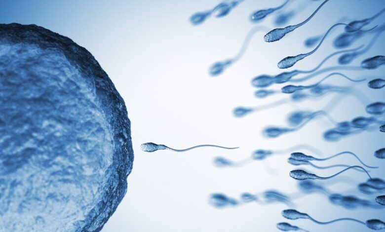 Η-επιστήμη-απαντά-εάν-γίνεται-να-αναπαραχθούμε-σε-άλλους-πλανήτες