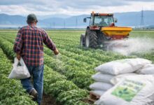 Κέλλας:-Επιδότηση-15%-σε-λιπάσματα-και-0,20e-στο-πετρέλαιο