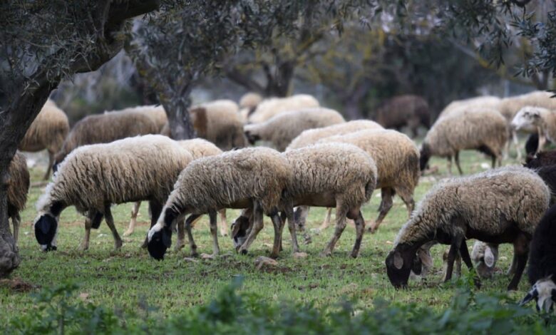 Η-Θεσσαλία-χωρίς-κρούσμα-ευλογιάς-το-τελευταίο-εικοσαήμερο-–-tα-στοιχεία-του-ΥπΑΑΤ
