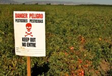 Τον-ισχυρό-συσχετισμό-μειγμάτων-φυτοφαρμάκων-και-καρκίνου-διαπίστωσε-νέα-μελέτη