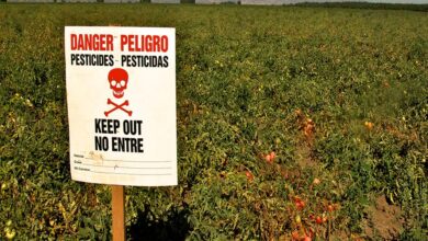 Τον-ισχυρό-συσχετισμό-μειγμάτων-φυτοφαρμάκων-και-καρκίνου-διαπίστωσε-νέα-μελέτη