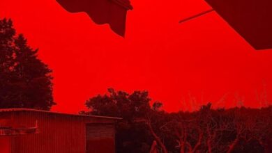 Κακοκαιρία-erminio:-Κλειστά-όλα-τα-σχολεία-στην-Κρήτη-την-Πέμπτη-λόγω-αφρικανικής-σκόνης