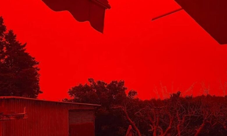 Κακοκαιρία-erminio:-Κλειστά-όλα-τα-σχολεία-στην-Κρήτη-την-Πέμπτη-λόγω-αφρικανικής-σκόνης