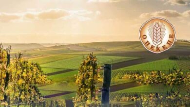 Δικογραφία-ΟΠΕΚΕΠΕ:-Για-κακούργημα-η-Παπακώστα-για-πλημμελήματα-ο-Σκρέκας,-σύμφωνα-με-δημοσιεύματα