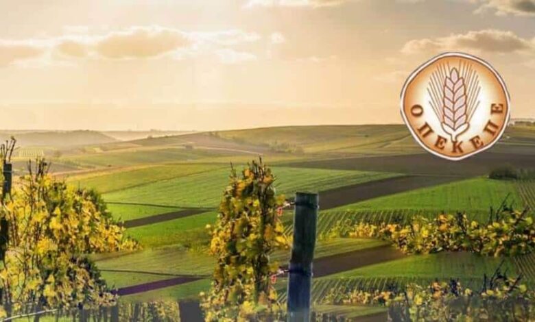 Δικογραφία-ΟΠΕΚΕΠΕ:-Για-κακούργημα-η-Παπακώστα-για-πλημμελήματα-ο-Σκρέκας,-σύμφωνα-με-δημοσιεύματα