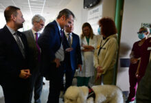 Κυριάκος-Μητσοτάκης:-Η-γνωριμία-του-πρωθυπουργού-με-σκύλο-θεραπείας-στο-νοσοκομείο-«Μεταξά»