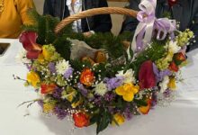 Τα-Τρίκαλα-«πλημμύρισαν»-άνοιξη:-Ισοφάριση-ρεκόρ-με-700-μικρές-Λαζαρίνες-(ΦΩΤΟ-–-ΑΠΟΤΕΛΕΣΜΑΤΑ)